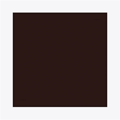 Plain Desen İpek Twill Eşarp