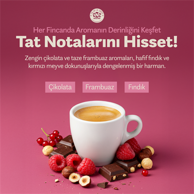 Aromalı Filtre Kahve Tanışma Seti Irish Cream, All Day Blend, Çikolata Frambuaz 3lü 250G