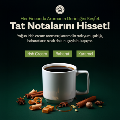 Irish Cream Aromalı Filtre Kahve 2li 250G