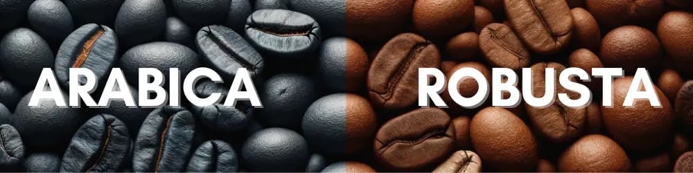 Arabica ve Robusta kahve çekirdekleri arasındaki farkı gösteren banner