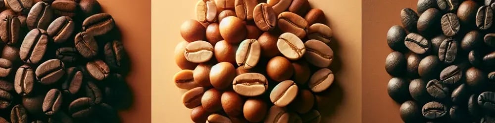Arabica ve Robusta dâhil farklı kahve çekirdeği türlerinin karşılaştırması