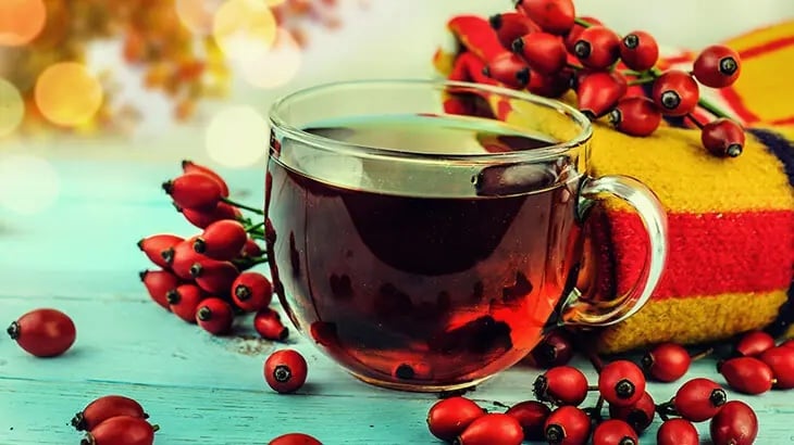 Kuşburnu çayının faydaları için canlı kırmızı kuşburnularla fincanda çay