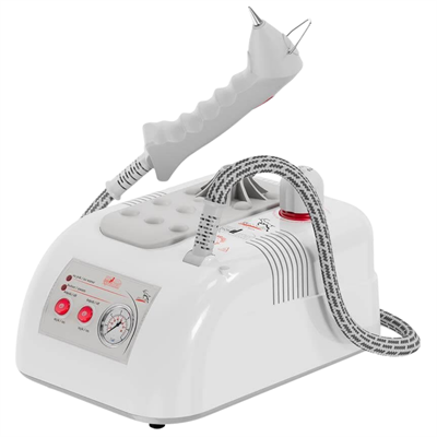Goldental GLD MN 2003 Buharlı Temizleme Robotu – 1 LT Plastik Gövde