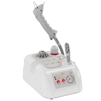 Goldental GLD MN 2003 Buharlı Temizleme Robotu – 1 LT Plastik Gövde