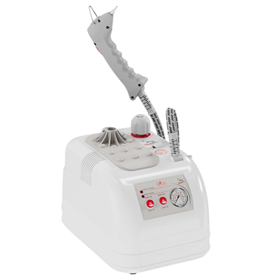 Goldental GLD MN 2004 Buharlı Temizleme Robotu – 2 LT Plastik Gövde