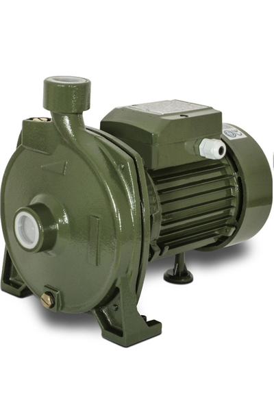 Cpm158 1 Hp 4 Bar 220v 6 Ton Salyangoz Pompa Su Motoru Dinamosu