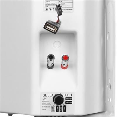 MagicVoice F-LHY5S 5.25