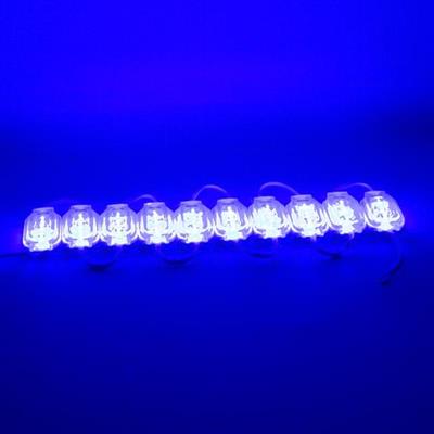 Powermaster 12 Volt 0.6 Watt Mavi 2835 65 X 25 Mm IP65 120 Lümen 160 Derece Modül Led