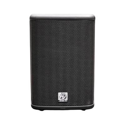 Shile PM-8AU 120W RMS 8