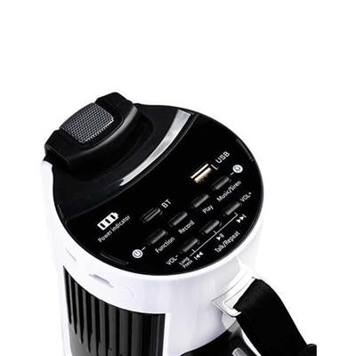 Westa WM-90PU Type-C 100 Watt Mayk Mikrofonlu USB-TF-Bluetooth Megafon