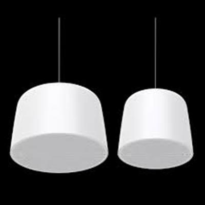 AXIS C15 Ağ Askılı Hoparlör - PoE Destekli Profesyonel Hoparlör