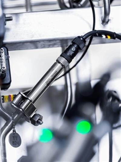 Endress+Hauser iTHERM CompactLine TM311 | Kompakt Hijyenik Sıcaklık Sensörü | 4–20 mA / IO-Link