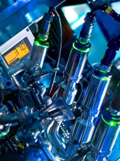 Endress+Hauser iTHERM TrustSens TM371 | Kendi Kendini Kalibre Eden Hijyenik Sıcaklık Sensörü | 4–20 mA / HART