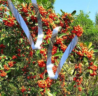 Repel BR 05 Holografik Kuş Kovucu Reflektör Şerit - 120 Mt