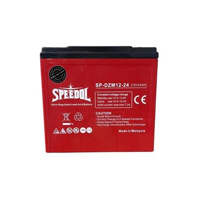 SPEEDOL SP-DZM12-24 E-BIKE BATTERY (12V24AH)