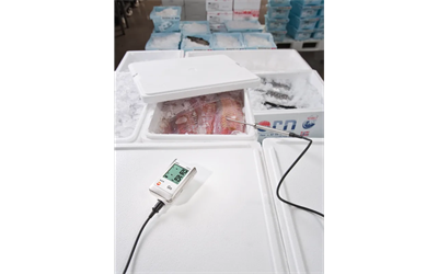 Testo 175 T2 Sıcaklık Data Logger