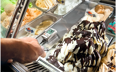 Testo 175 T2 Sıcaklık Data Logger