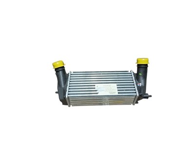 Ford Fiesta VI 1.0i Manuel 01/13- Intercooler - Brazing
