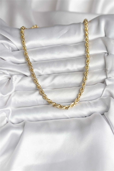 14K Gold Renk Kaplama Burgu Model CM Kadın Kolye
