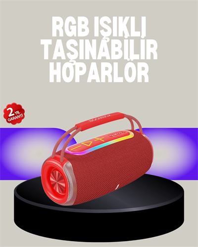 20W Kablosuz Bluetooth Hoparlör RGB Işık Efektli USB/SD/AUX Destekli