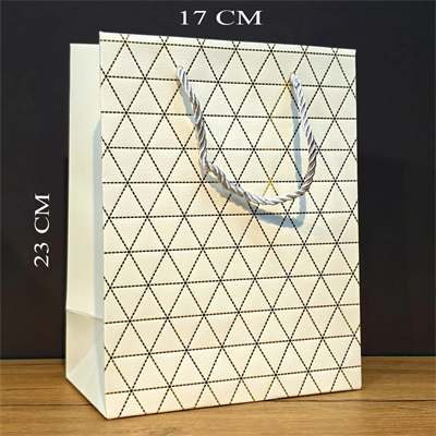 Beyaz Geometrik Desenli Orta Boy Karton Hediye Çantası