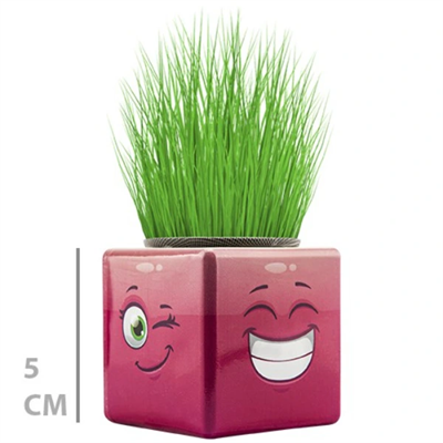 Çim Adam Mini Küp Emoji Figürlü 1 Adet