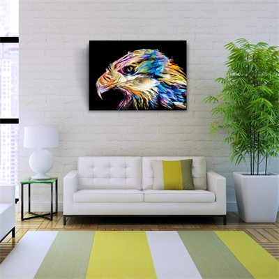 Çok ve Canlı Renklerde Dekoratif Şahin Kanvas Tablo 50 x 70