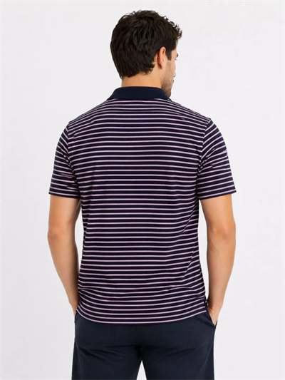Erkek Pike Kumaş Gül Kurusu Çizgili Polo Yaka Tişört Kısa Kol T-Shirt - Siyah