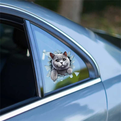 Fulcar Kedi Tasarımlı Araç Stickerı