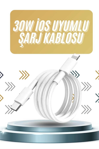 IOS Tüm Serilerle Uyumlu 30W Hızlı Şarj Aleti 11 12 13 14/Pro Max Mini Plus