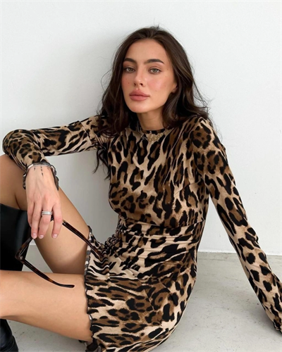 Kadın Uzun Kollu Sırtı Açık Bağlamalı Leopar Desenli Kısa Dalgıç Elbise