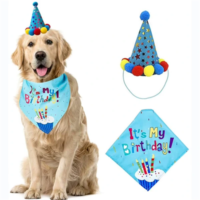 Köpekler İçin Doğum Günü Partisi Seti