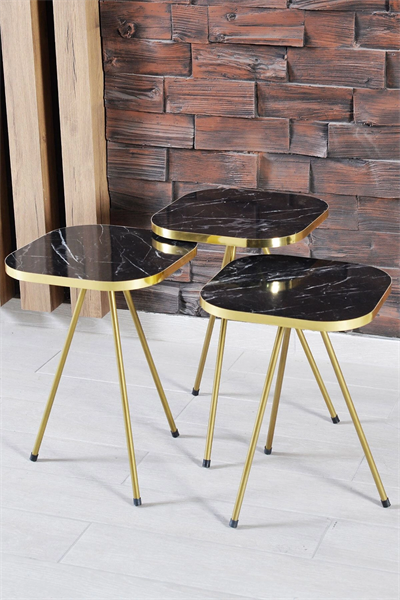 Zigon Sehpa Ve Orta Sehpa Kombin Set Altın Bendir 3201