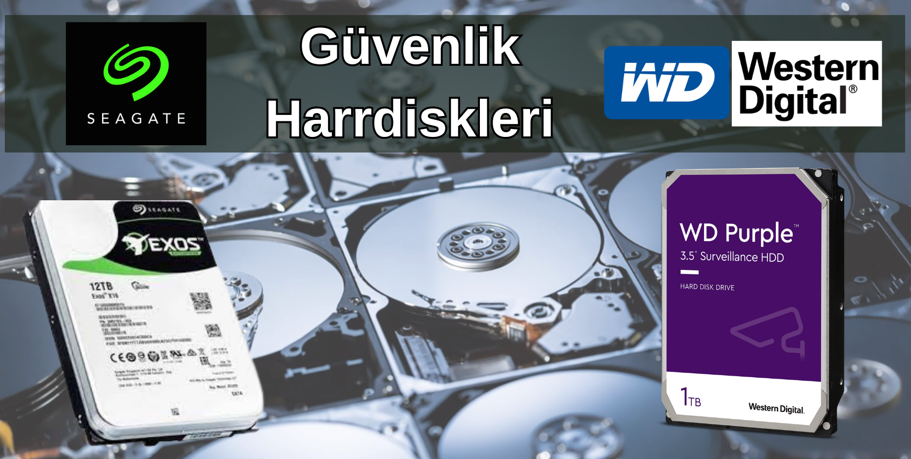 Güvenlik Harddiskler