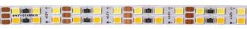 LED1925 ŞeritLED 12V,8mm,9.6W/m,MW,5m