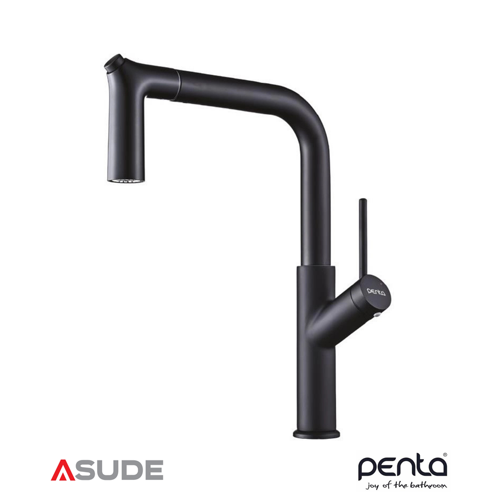 PENTA 1319B BLACK SPİRALLİ EVYE BATARYASI