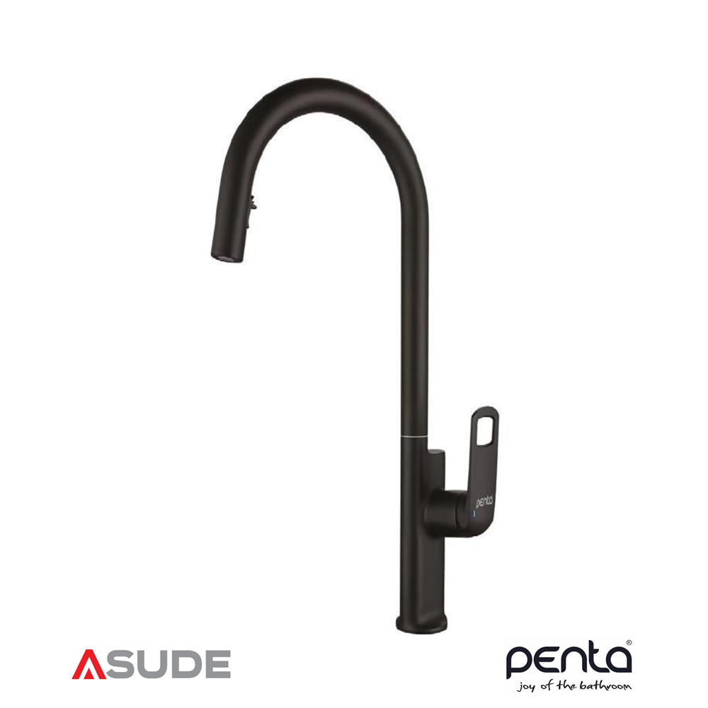 PENTA 1321B BLACK SPİRALLİ EVYE BATARYASI