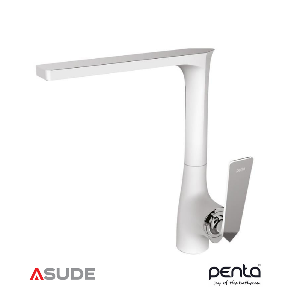 PENTA 4655W VIOLA WHITE CHROME EVYE BATARYASI
