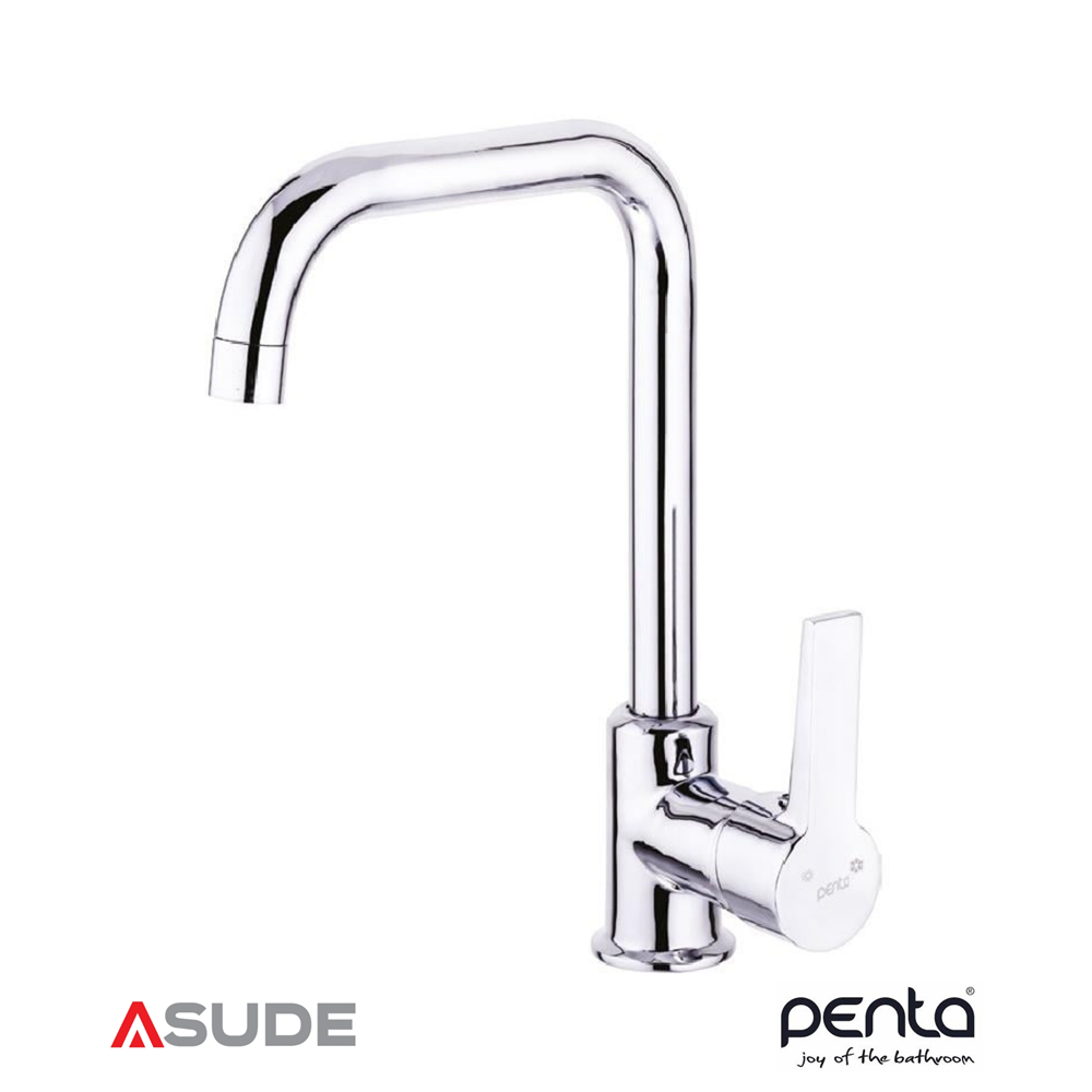 PENTA P915 AGENA EVYE BATARYASI (L)