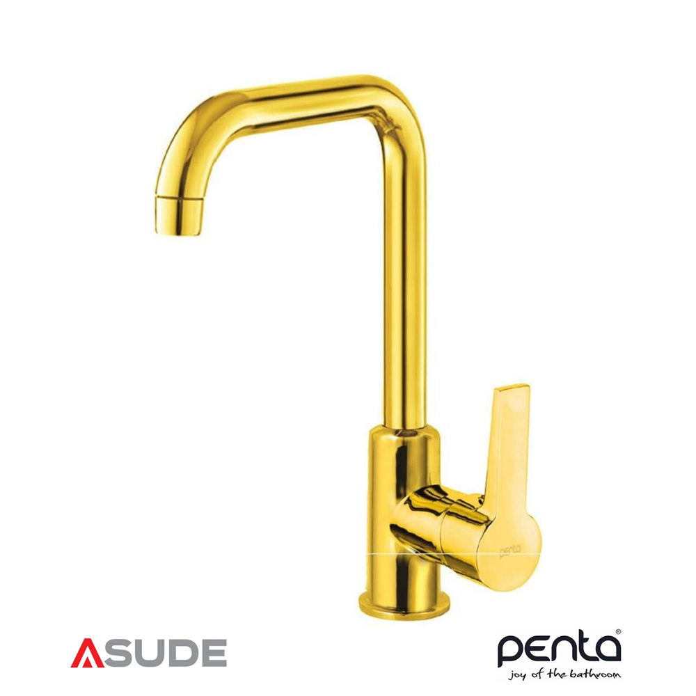 PENTA P915G (GOLD) AGENA EVYE BATARYASI (L)