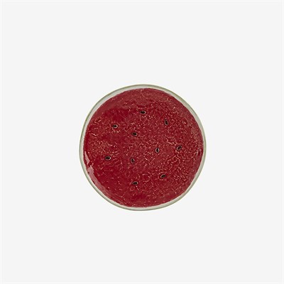 Bordallo Pinheiro Watermelon Kırmızı Seramik Kahvaltı Tabağı 21,5 Cm