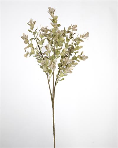 Çinpa Dal Çiçek 62Cm