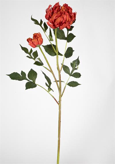 Çinpa Krizantem 70Cm