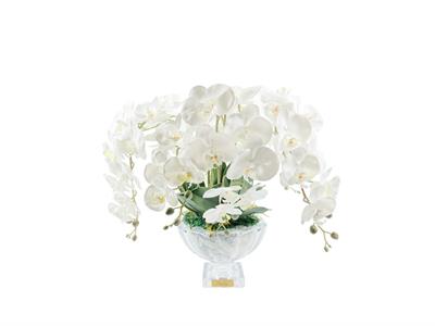 Cote Noire - Luxury Centerpiece Beyaz Orkide Koku