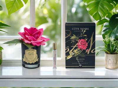 Cote Noire - Tek Güllü Fuşya Siyah Cam Koku