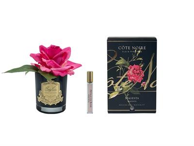 Cote Noire - Tek Güllü Fuşya Siyah Cam Koku