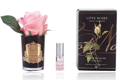 Cote Noire - Tek Güllü Nar Çiçeği Koku