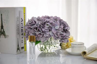Cotenoıre Luxury Range Hydrangeas Mavi Koku