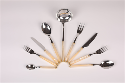 D&D 75 Pcs Wood Box Idıs Gold+ Steel Champagne Pearl