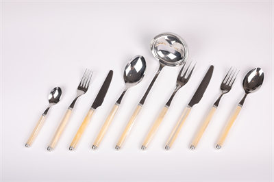 D&D 75 Pcs Wood Box Idıs Shıne Steel Champagne Pearl
